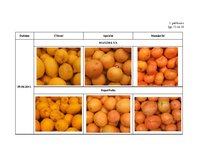 Referāts 'Citrusaugļu kvalitāte Jelgavas lielveikalos', 86.