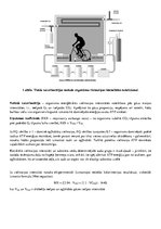 Paraugs 'Organisma enerģētiskā vielmaiņa', 2.