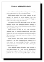 Prakses atskaite 'Prakses atskaite tūrismā', 5.