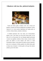 Prakses atskaite 'Prakses atskaite tūrismā', 7.