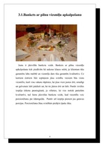 Prakses atskaite 'Prakses atskaite tūrismā', 9.