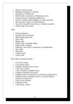 Prakses atskaite 'Prakses atskaite tūrismā', 13.