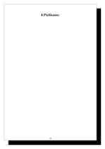 Prakses atskaite 'Prakses atskaite tūrismā', 19.