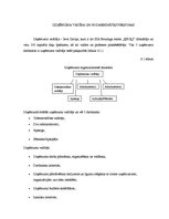 Biznesa plāns 'SIA "Boulinga centrs"', 13.