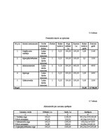 Biznesa plāns 'SIA "Boulinga centrs"', 18.