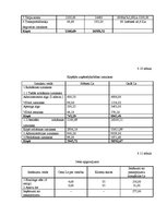 Biznesa plāns 'SIA "Boulinga centrs"', 20.