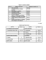 Biznesa plāns 'SIA "Boulinga centrs"', 24.