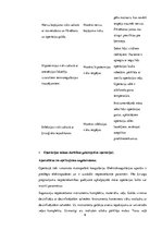 Prakses atskaite 'Aprūpes plāns operāciju māsām', 9.