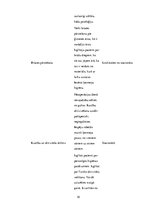 Prakses atskaite 'Aprūpes plāns operāciju māsām', 18.