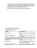 Konspekts 'Pacienta temperatūras noteikšana', 6.