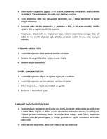 Konspekts 'Pacienta temperatūras noteikšana', 11.