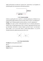 Konspekts 'Mērīšana, 1.klase', 3.