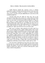 Eseja 'Manta un mīlestība - Blaumaņa darbos risinātā problēma', 1.