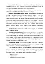 Referāts 'Mājražotāju konkurētspēja', 13.