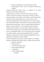 Referāts 'Kapitāls uzņēmējdarbībā', 6.