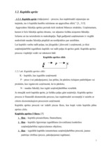 Referāts 'Kapitāls uzņēmējdarbībā', 7.