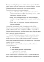 Referāts 'Kapitāls uzņēmējdarbībā', 16.