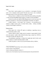 Eseja 'Zīmola "Lāči" analīze', 1.