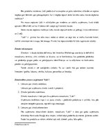 Eseja 'Zīmola "Lāči" analīze', 2.