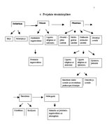 Paraugs 'Projekts "Dzīves karuselis"', 7.