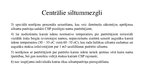 Prezentācija 'Siltummezglu funkcijas. Centrālie un individuālie siltummezgli. Modernu siltumme', 5.