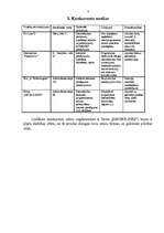 Biznesa plāns 'SIA "Informserviss"', 4.