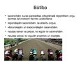 Prezentācija 'Zirgu skriešanās sacīkstes', 2.
