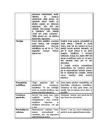 Konspekts 'Divu internetbanku salīdzinājums', 2.