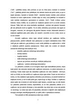 Referāts 'Latvijas uzņēmumu interneta mājas lapu analīze no starptautiskā mārketinga viedo', 5.