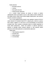 Referāts 'Mazo un vidējo uzņēmumu attīstība Latvijā', 20.