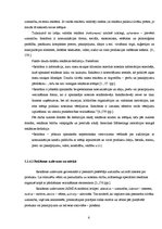 Referāts 'Reklāma kā integrētās mārketinga komunikācijas sastāvdaļa uzņēmumā "Jet Cafe"', 6.