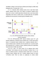 Diplomdarbs 'Saimnieciskās darbības optimizācijas projekts uzņēmumā', 60.