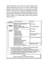 Referāts 'Uzņēmuma likviditātes un rentabilitātes analīze', 4.