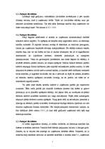 Referāts 'Uzņēmuma likviditātes un rentabilitātes analīze', 5.