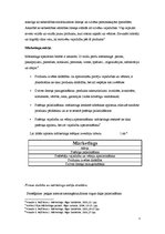 Konspekts 'Mārketings', 3.