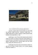 Prakses atskaite 'Organizācija, kultūra, projekta analīze', 4.