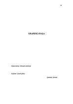 Prakses atskaite 'Organizācija, kultūra, projekta analīze', 40.