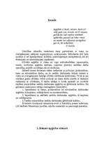 Referāts 'Apģērbs', 1.