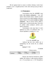 Referāts 'Mārketinga izpēte uznēmumā SIA "Afrodite"', 3.