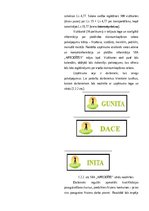 Referāts 'Mārketinga izpēte uznēmumā SIA "Afrodite"', 4.