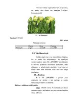 Referāts 'Mārketinga izpēte uznēmumā SIA "Afrodite"', 10.