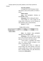 Referāts 'Mārketinga izpēte uznēmumā SIA "Afrodite"', 12.