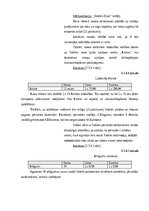 Referāts 'Mārketinga izpēte uznēmumā SIA "Afrodite"', 16.