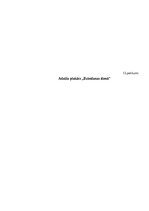 Referāts 'Mārketinga izpēte uznēmumā SIA "Afrodite"', 26.
