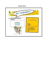 Referāts 'Mārketinga izpēte uznēmumā SIA "Afrodite"', 34.