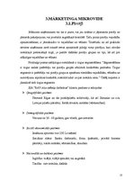 Referāts 'Tirgus izpēte uzņēmumam SIA "RAV stila mēbeļu darbnīca"', 10.