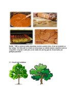 Prezentācija 'Pētījums studiju kursā "Ievads logopēdijā"', 8.