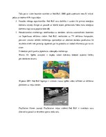 Referāts 'Produkta "Red Bull" markas priekšrocības un trūkumi', 10.