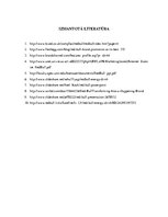 Referāts 'Produkta "Red Bull" markas priekšrocības un trūkumi', 17.