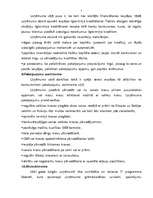 Referāts 'SWOT analīze kravu pārvadājumu uzņēmumā', 5.